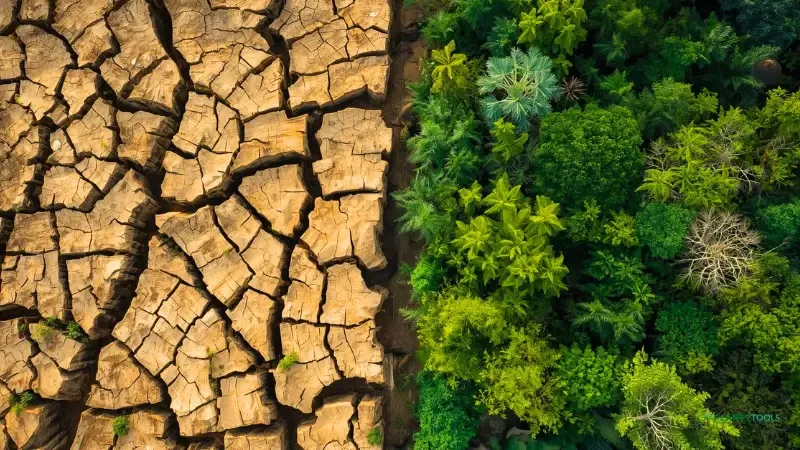 A visual comparison of degraded land versus a thriving Forest Garden, showing the systemic change promoted by non-profit tree planting websites like Trees for the Future.