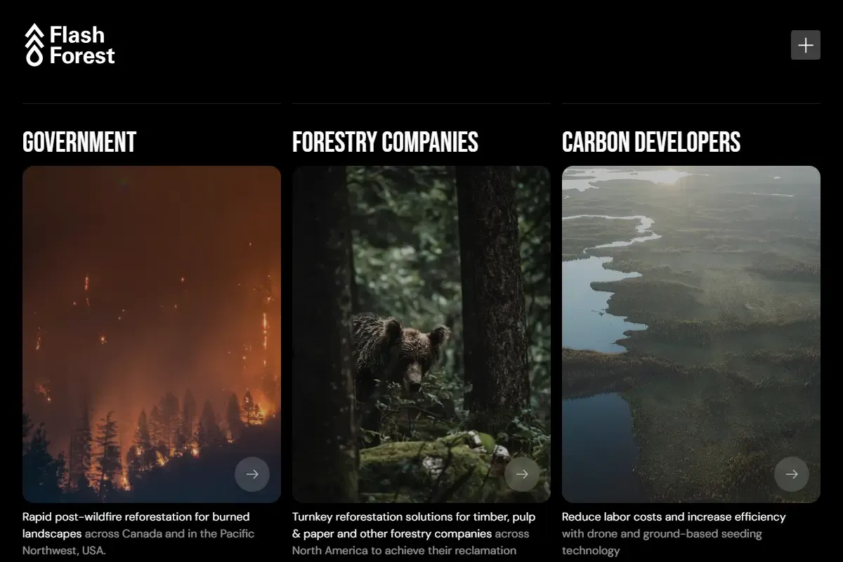Screenshot of Flash Forest (Canada) homepage
